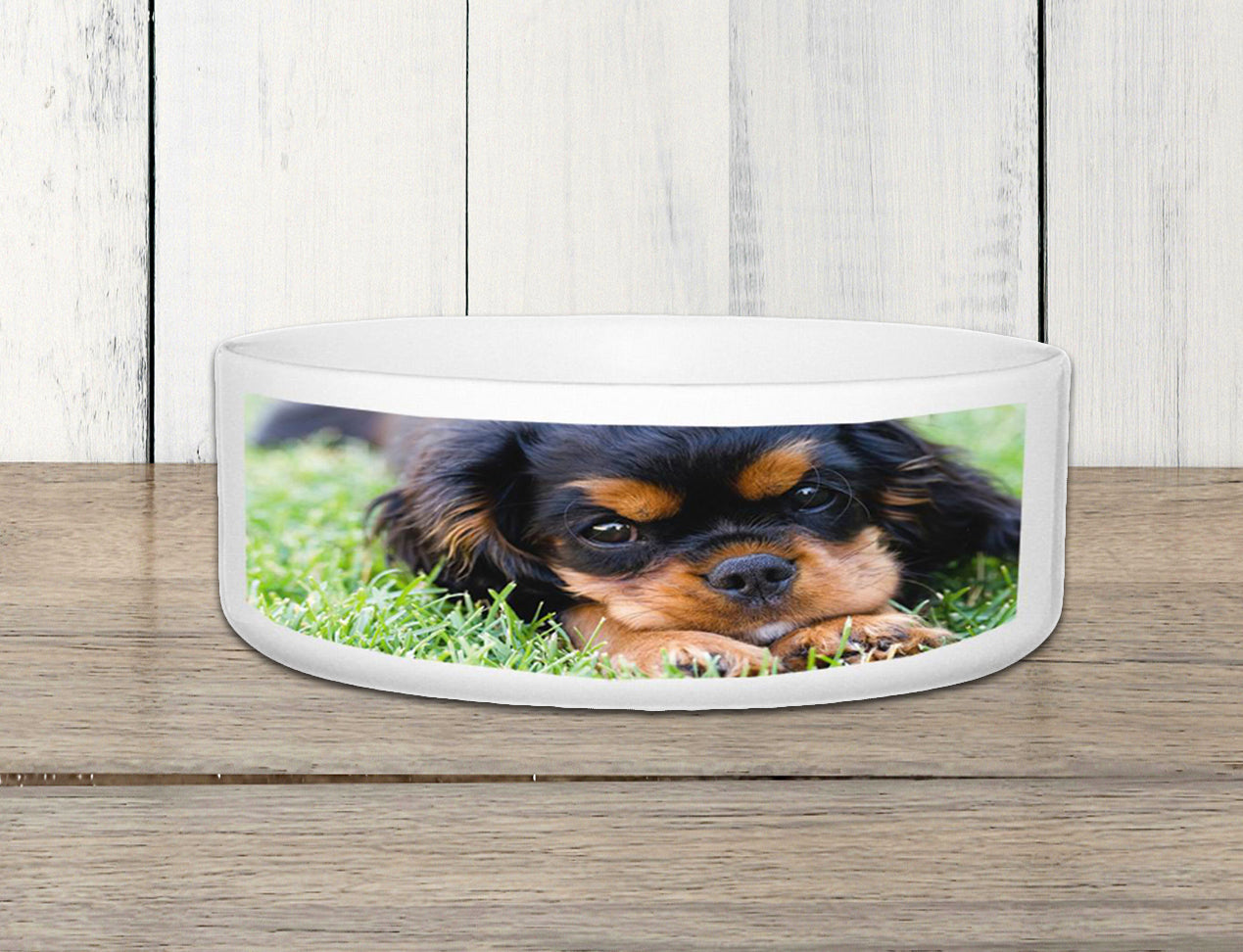 Custom Dog Bowl personalised with photo of dog